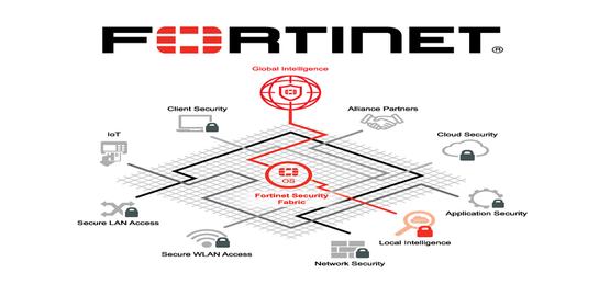 Why choose fortinet?